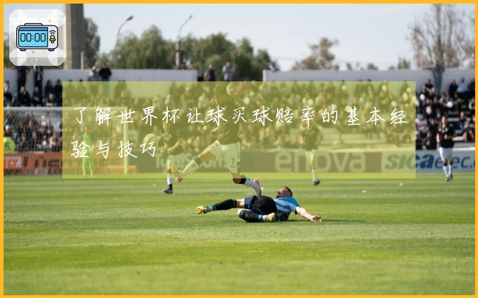了解世界杯让球买球赔率的基本经验与技巧