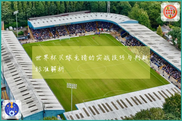 世界杯买球竞猜的实战技巧与判断标准解析