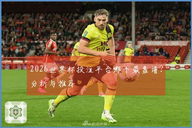 2026世界杯投注平台哪个最靠谱？分析与推荐