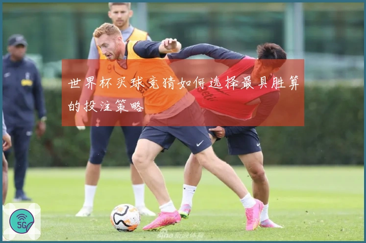 世界杯买球竞猜如何选择最具胜算的投注策略