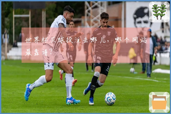 世界杯买球投注去哪儿，哪个网站最靠谱？